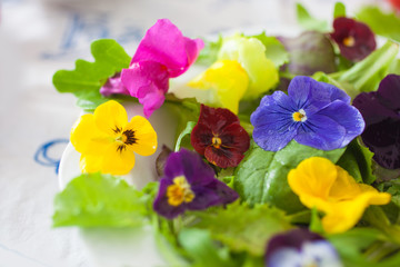 Pflücksalat mit essbaren Blüten