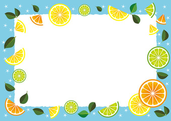 Frame of citrus slices (lemon, lime, orange, grapefruit).
