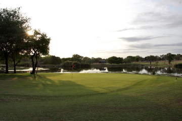 golfer on the golf course