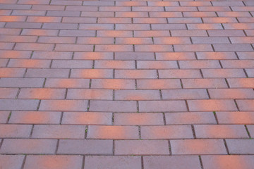 Red Paving slab, background. Pedestrian zone in the park in daylight. Urban pavement.