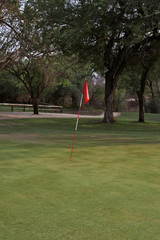 Obraz premium golfer on the golf course