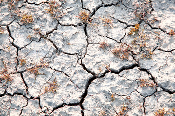 arid dry cracked earth 