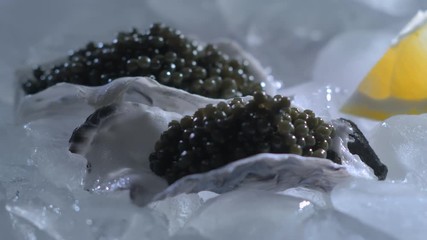 Black Granular Sturgeon Caviar in Oyster. Sturgeon Fish luxury Snack. Rotation Food in Ice lemon. Luxury Appetizer. Loop - Powered by Adobe