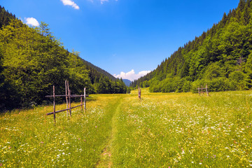 Road with a wooden fence in a field with yellow flowers. The nice view to the landscape of mountains in the sunny day is opened from the green valley covered with grass. The place of tourists rest.