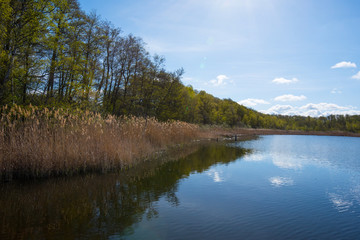 View over nature preserve Kyrksjön Bromma Sweden