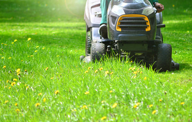 Trimming green grass with lawn mower, copy space
