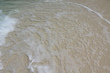 seychelles beach private island coconut