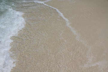 seychelles beach private island coconut