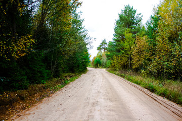 Fototapeta na wymiar dirt road going into the forest