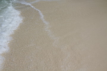 seychelles beach private island coconut