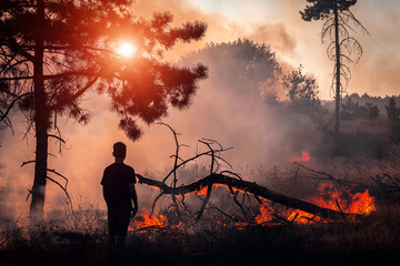 boy look at wildfire on sunset, burning pine forest .