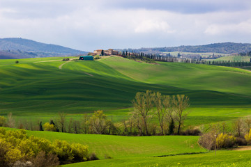 Fototapeta na wymiar Crete Senesi green hills in Tuscany