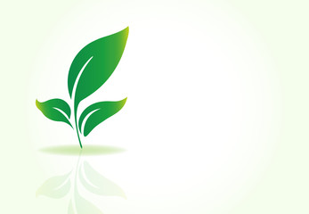 Fototapeta na wymiar Leafs nature ecology logo vector