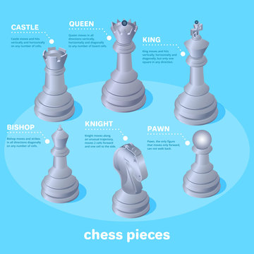 Vettoriale Stock isometric vector image on a blue background, chess pieces  and their names, school of chess | Adobe Stock