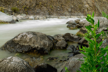 stream in forest rio