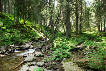 Panoramic beautiful deep forest waterfall