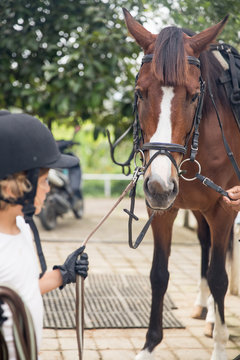 Young girl at the horse stable