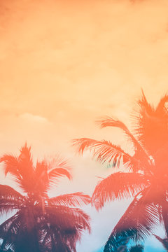 Colorful palm tree reflections in a pool; summer abstract background