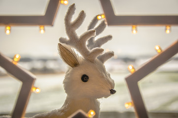 Świąteczny jelonek © Jakub