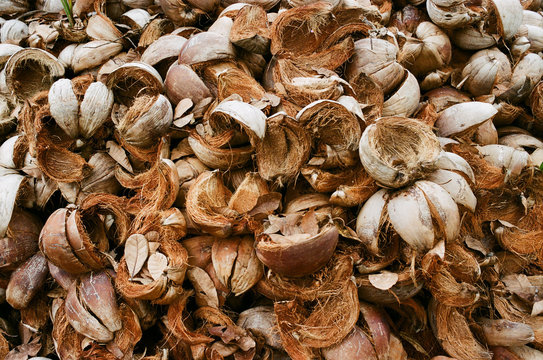 Pile of coconut shell
