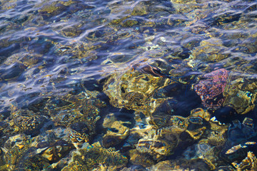texture of sea water with the reef-copy space