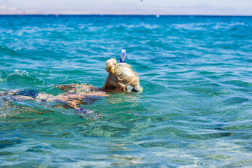 summer vacation and sea activities concept picture of swimming snorkeling girl with mask and tube...