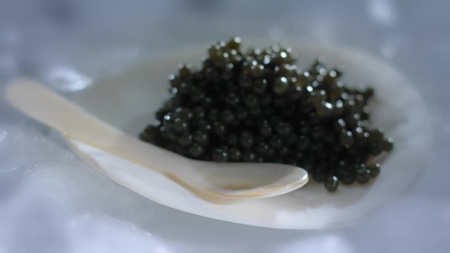 Black Caviar on Mother of Pearl plate natural Shell Seafood High quality natural sturgeon black caviar close-up, Expensive