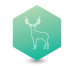 Silhouette of the deer