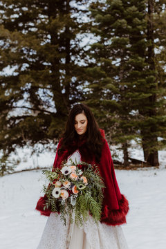 Portrait of Gorgeous Brunette Bride at Winter Wedding