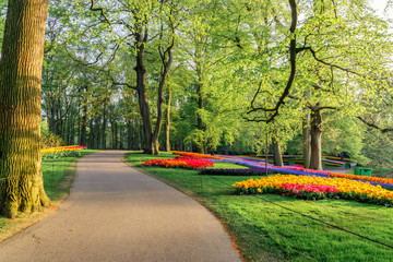 Empty path in Keukenhof flower garden in Lisse, South Holland, Netherlands. Copy space.