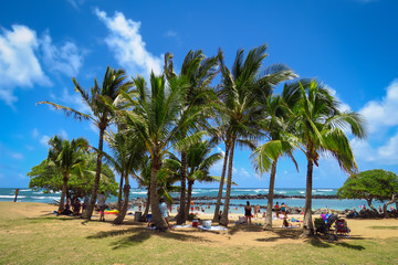 Fototapeta na wymiar Lydgate Beach Park, Kauai, Hawaii