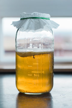 homemade kombucha tea