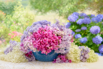 Bouquet of pink vetch Vicia flowers in a blue enamel bowl with hydrangea blooms in a country garden 