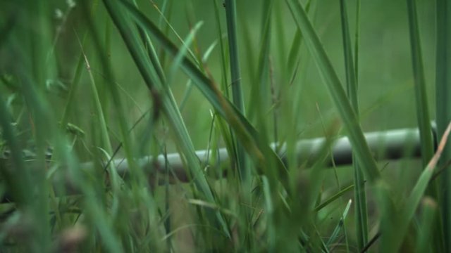 Fully Equipped Sniper Soldier Wearing Camouflage In Firing Position. Cartridge in the chamber. Side View Long Shot.