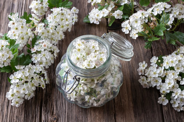 Preparation of tincture from fresh hawthorn flowers