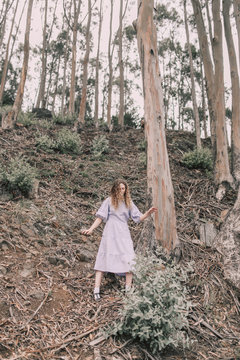 Hannah and the eucalyptus
