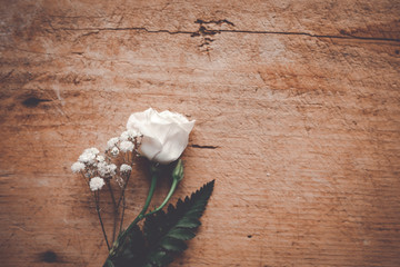 Weiße Blüte mit Schleierkraut auf Holz