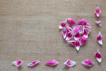 Heart made of pink petals on gray background.