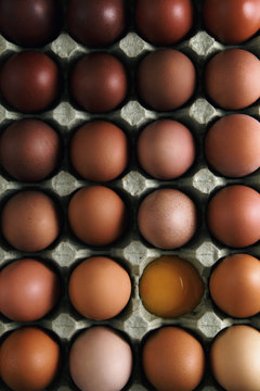 Eggs in a rack
