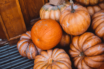 Many large orange pumpkins lie in the straw. Autumn street decoration. Autumn harvest of pumpkins...