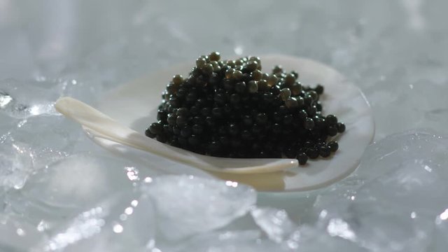 Black Caviar on Mother of Pearl plate natural Shell Seafood High quality natural sturgeon black caviar close-up, Expensive