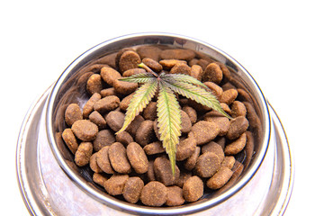 Dog treats and cannabis leaves isolated over white background - CBD and medical marijuana for pets concept