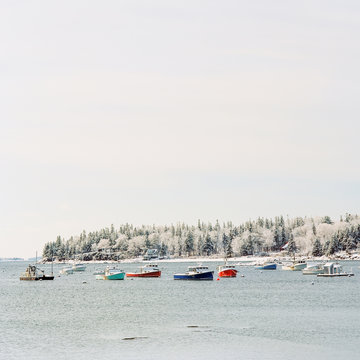 Fishing and lobster boats float in the harbor in Owls Head Maine.
