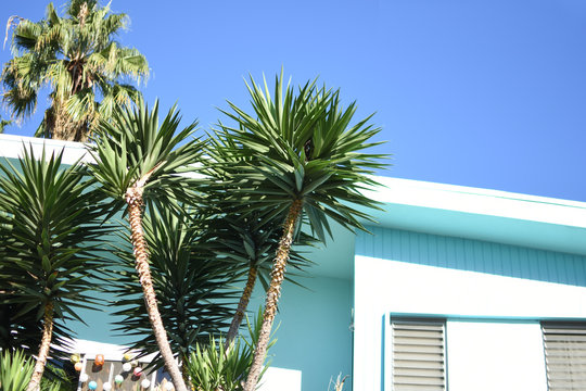 Mid Century Home