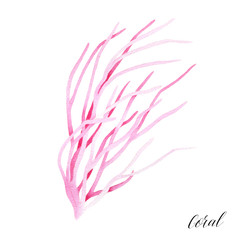 Ocean pink coral. Tropical reef sealife. Watercolor illustration.