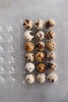 Carton of quails eggs