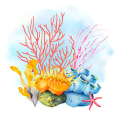Sea sponge, anemone, starfish, red and pink coral. Tropical ocean reef wildlife. Watercolor illustration. © Evgeniya