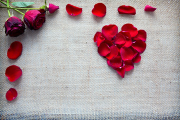 Red heart of roses petals and rose isolated on a cloth background.