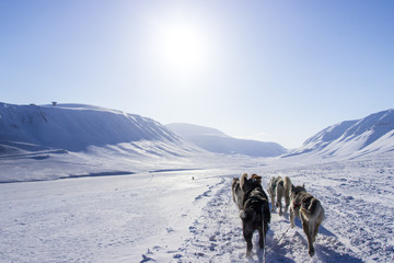 Arctic Mushing