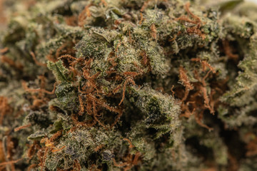 Cannabis Macro